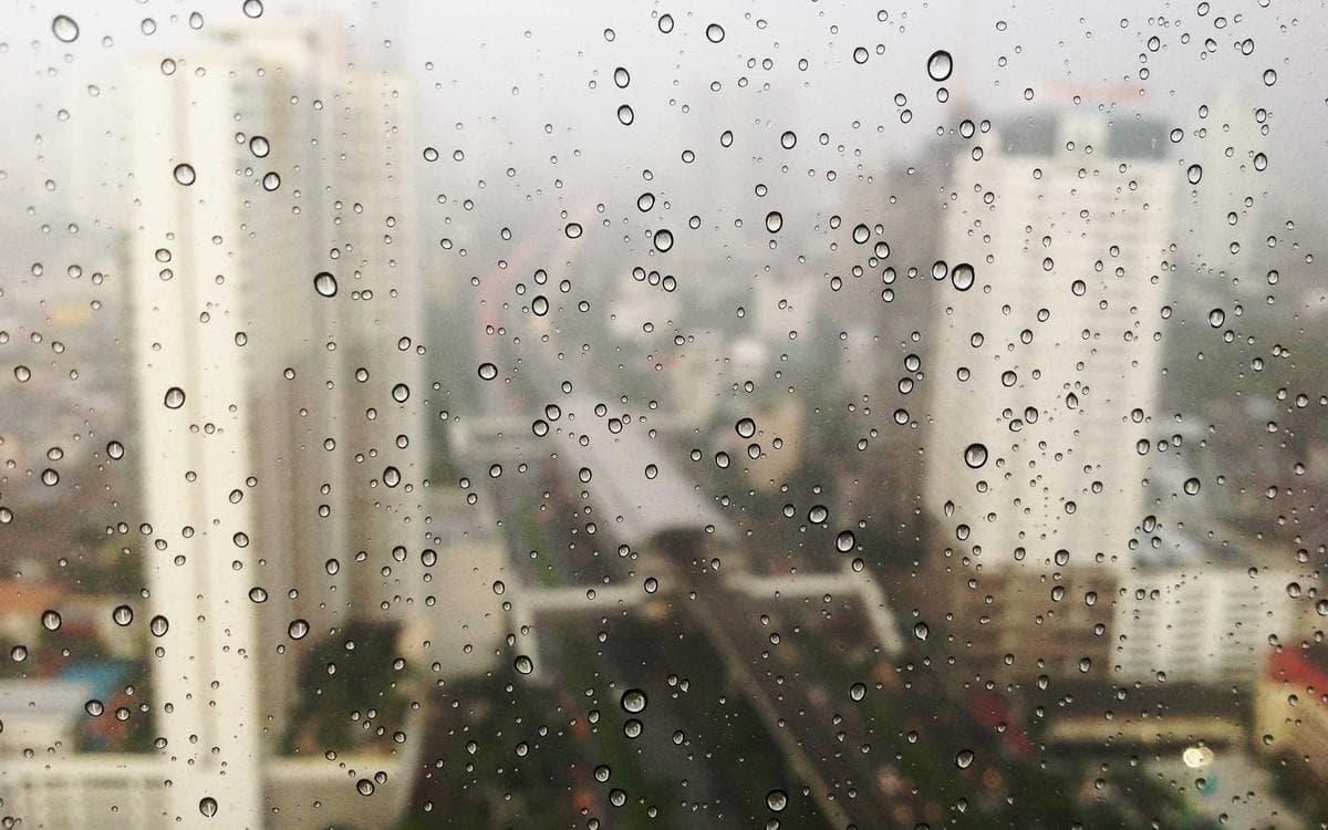 베이커리캠프 광화문